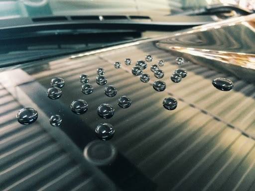 GOST standard on protective organic coatings was adopted